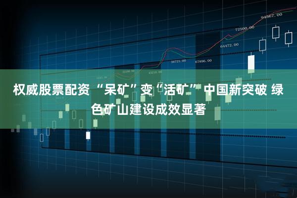 权威股票配资 “呆矿”变“活矿” 中国新突破 绿色矿山建设成效显著