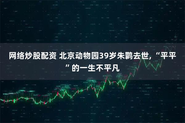 网络炒股配资 北京动物园39岁朱鹮去世, “平平”的一生不平凡